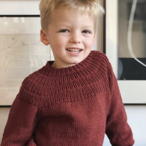 Ankers Trøye