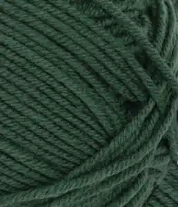 8581 - Dyp Skoggrønn