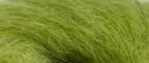 261 - Lime